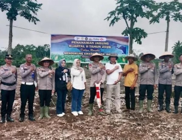 Dukung Swasembada Pangan, Kapolres Tanah Datar Pimpin Penanaman Jagung Serentak